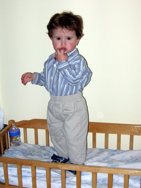 PICT0008.jpg (75178 bytes)